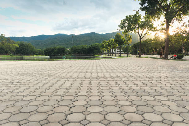 Best Cobblestone Driveway Pavers  in Lauderdale Lakes, FL