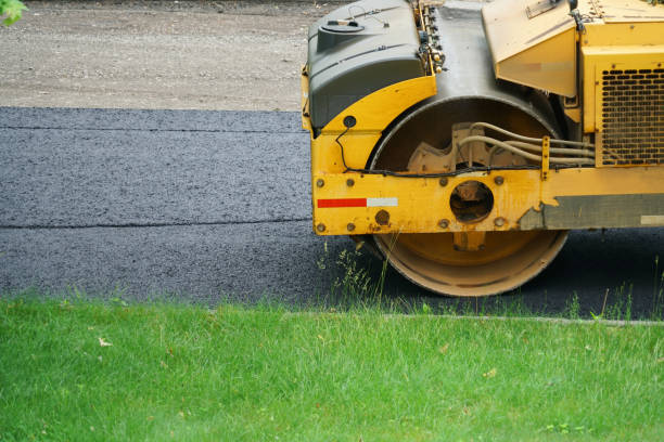 Best Custom Driveway Pavers  in Lauderdale Lakes, FL