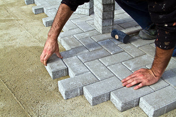 Best Driveway Pavers Near Me  in Lauderdale Lakes, FL